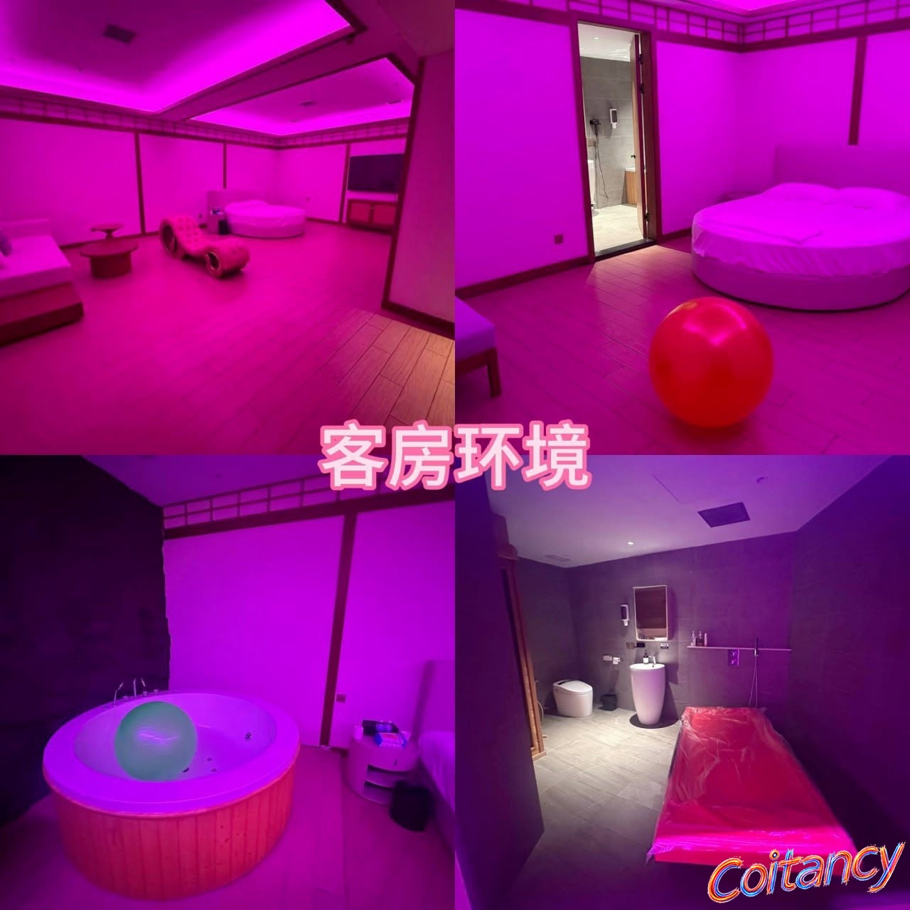客房环境.jpeg